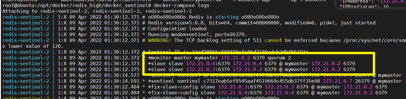 image-20220409093205283